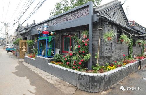 最新星光飞宠爆料2025,未来宠物界的璀璨之星